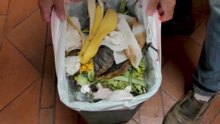 Professional Junk Removal Services in King, NC